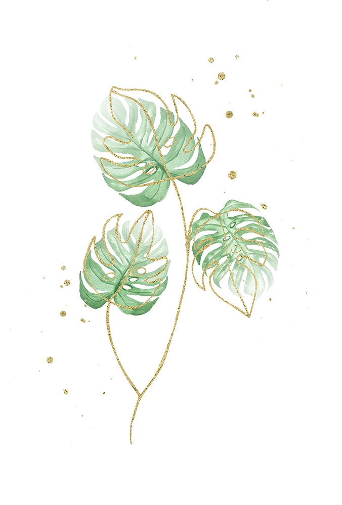 Watercolor Tropical Monstera Leaf